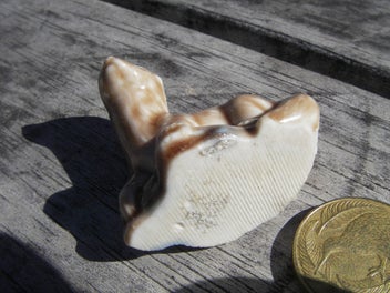 Listing 2 of 5 for Otter -Wade Whimsey - approx, 4 cm long