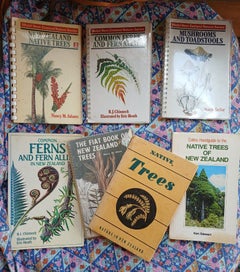 Listing 1 of 1 for Vintage book collection. Native trees, ferns, & Mushrooms