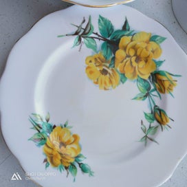 Listing 4 of 5 for Roslyn Bone China Trio (R1064 pattern)