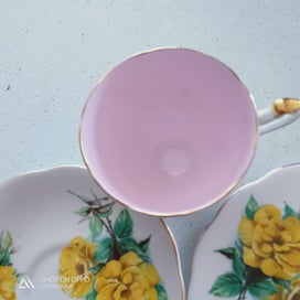 Listing 3 of 5 for Roslyn Bone China Trio (R1064 pattern)