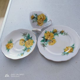 Listing 1 of 5 for Roslyn Bone China Trio (R1064 pattern)