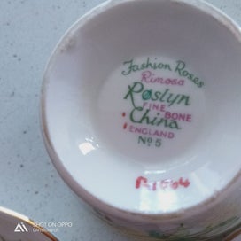 Listing 2 of 5 for Roslyn Bone China Trio (R1064 pattern)