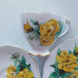 Listing 5 of 5 for Roslyn Bone China Trio (R1064 pattern)