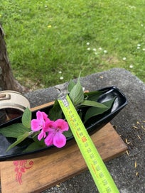 Listing 5 of 5 for Vintage Crown Lynn? NZ Ikebana style Vase