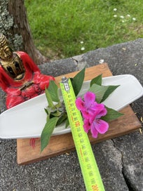 Listing 4 of 4 for Vintage Crown Lynn/Titan Vase