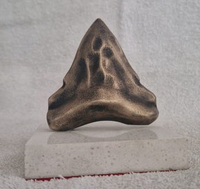 Listing 1 of 5 for Bronze Megalodon tooth