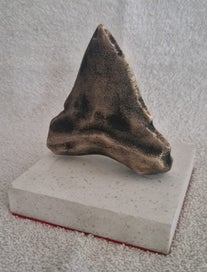 Listing 3 of 5 for Bronze Megalodon tooth