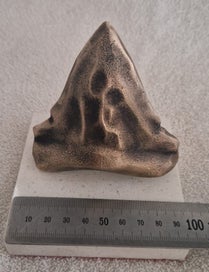 Listing 4 of 5 for Bronze Megalodon tooth