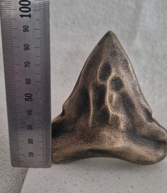 Listing 5 of 5 for Bronze Megalodon tooth