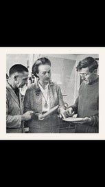 Listing 5 of 5 for Crown Lynn pottery mid century Pine plate Dorothy Thorpe