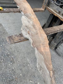 Listing 6 of 17 for Small Ancient Swamp Kauri Slab – 200/140x30x7.5 cm ready to work