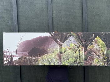 Listing 3 of 6 for Printed Canvas of Heaphy Track Nikau palm glade