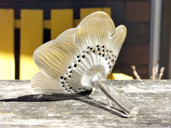 Listing 6 of 12 for Vintage Lalique Glass Anemone Flower Sculpture / Paperweight