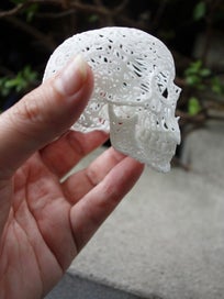 Listing 4 of 4 for 3D printed Skull Sculpture by Joshua Harker (mini)