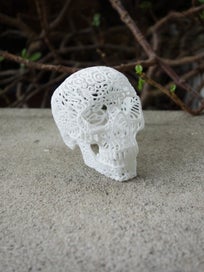 Listing 2 of 4 for 3D printed Skull Sculpture by Joshua Harker (mini)
