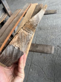 Listing 8 of 16 for 8.13 LM Ancient Swamp Kauri Timber Boards – (Mixed Sizes)