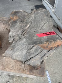 Listing 13 of 20 for Ancient Swamp Kauri – Small Slabs for Woodworks (Kiln-Dried Ready to Work)