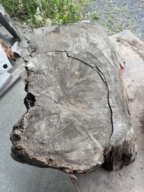 Listing 16 of 20 for Ancient Swamp Kauri – Small Slabs for Woodworks (Kiln-Dried Ready to Work)