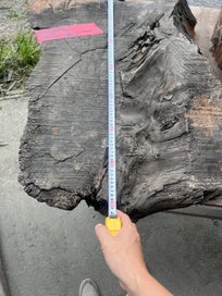 Listing 14 of 20 for Ancient Swamp Kauri – Small Slabs for Woodworks (Kiln-Dried Ready to Work)