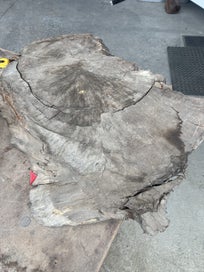 Listing 17 of 20 for Ancient Swamp Kauri – Small Slabs for Woodworks (Kiln-Dried Ready to Work)