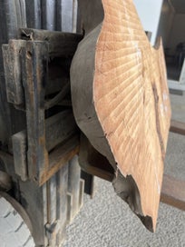 Listing 12 of 19 for Small Ancient Swamp Kauri Slab – 120 × 70/50 × 7 cm (Ready to Work)