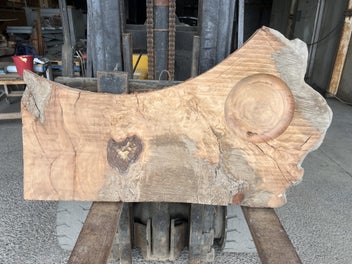 Listing 13 of 19 for Small Ancient Swamp Kauri Slab – 120 × 70/50 × 7 cm (Ready to Work)