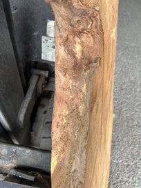 Listing 4 of 20 for AK250062 Ancient Swamp Kauri Stump Slab – 120 × 120 / 110 × 8.5 cm