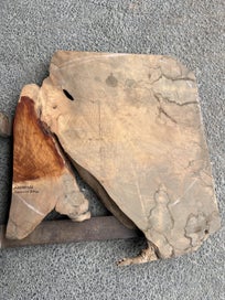 Listing 2 of 20 for AK250062 Ancient Swamp Kauri Stump Slab – 120 × 120 / 110 × 8.5 cm