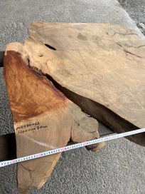 Listing 11 of 20 for AK250062 Ancient Swamp Kauri Stump Slab – 120 × 120 / 110 × 8.5 cm