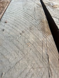 Listing 12 of 20 for 52 LM — 150 × 50 mm Solid Ancient Swamp Kauri Timber Lot