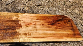 Listing 1 of 7 for Tasmanian Blackwood - Furniture grade timber