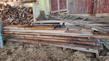 Listing 2 of 7 for Tasmanian Blackwood - Furniture grade timber