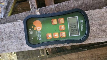 Listing 3 of 7 for Tasmanian Blackwood - Furniture grade timber