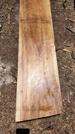 Listing 6 of 7 for Tasmanian Blackwood - Furniture grade timber