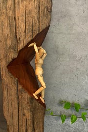 Listing 2 of 5 for "RESCUE OUR MEMORY" - NZ TOTARA SCULPTURE