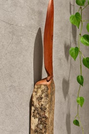 Listing 3 of 5 for NZ TOTARA FEATHER - Kea