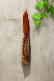 Listing 1 of 5 for NZ TOTARA FEATHER - Kea