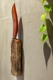 Listing 4 of 5 for NZ TOTARA FEATHER - Kea