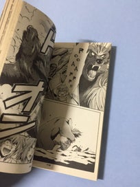 Listing 3 of 3 for +Anima, Volume 6 by Natsumi Mukai