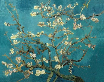Listing 1 of 3 for Framed $1 RESERVE 1 Panel Canvas Art Print - Almond-Blossoms by Van Gogh