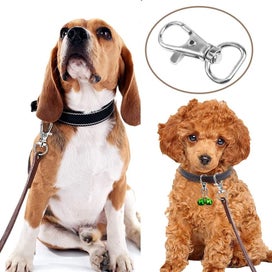 Listing 4 of 5 for 30Pcs 1 Inch Metal Swivel Clasps Lanyard Snap Hooks Keychain Clip with D Ri