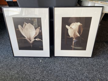 Listing 1 of 1 for Matching pictures with frames