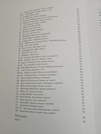 Listing 9 of 13 for Studies & Sketches of a Bird Painter- Raymond Ching