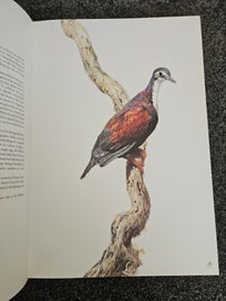 Listing 10 of 13 for Studies & Sketches of a Bird Painter- Raymond Ching
