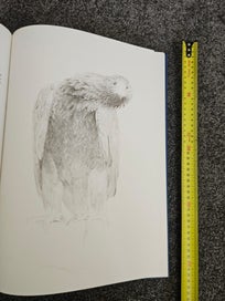 Listing 12 of 13 for Studies & Sketches of a Bird Painter- Raymond Ching