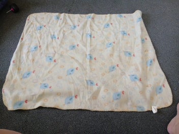 Listing 3 of 20 for Bulk buy Baby blankets