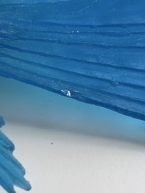 Listing 8 of 17 for Glass Bird Artwork (Luke Jacomb)