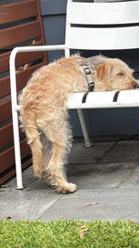 Listing 2 of 2 for Royal Albert Bone China