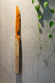 Listing 2 of 10 for Kahikatea Kotuku Feather (White Heron) Reclaimed NZ Native