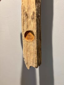 Listing 3 of 10 for Kahikatea Kotuku Feather (White Heron) Reclaimed NZ Native